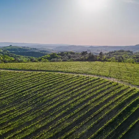 Отель Castelfalfi 5*